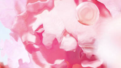 [Ingrediente visual - recorte en la flor de rosa]