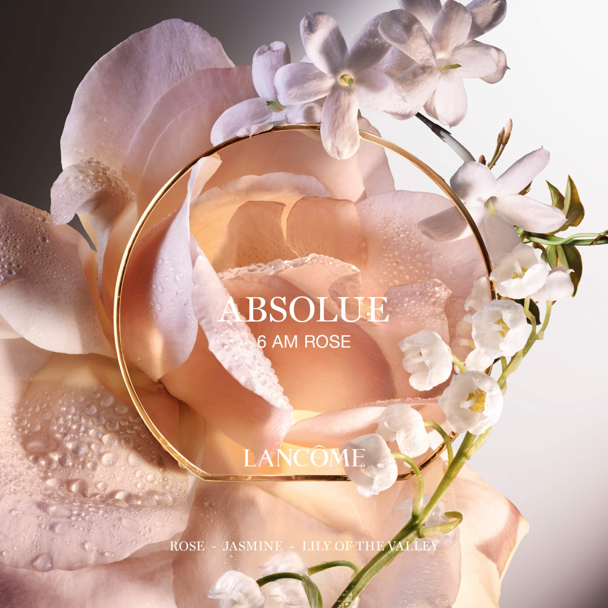 6 AM Rose Eau de Parfum, Perfume Floral