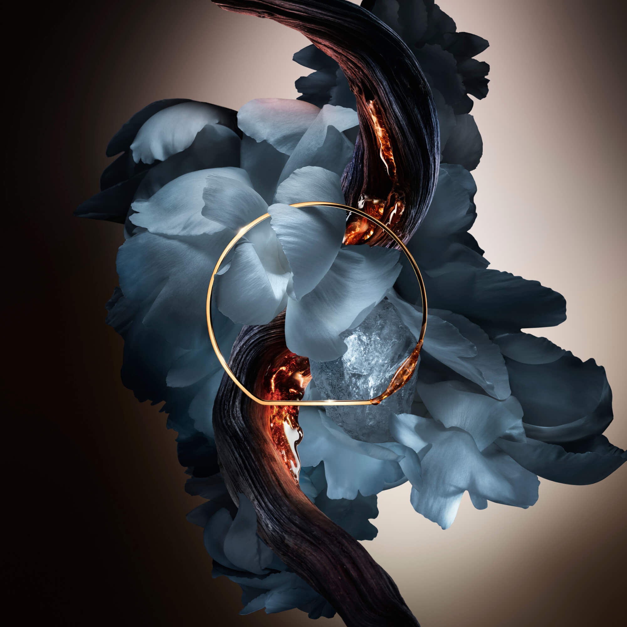 Absolue Rose from the Dark: Perfume ambar floral