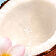 [Ingrediente visual - recorte en la flor monoi]