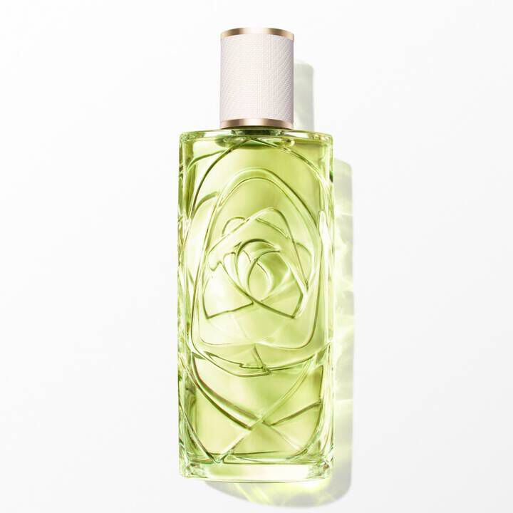 Off Now Eau de Toilette: Perfume citrico y amaderado