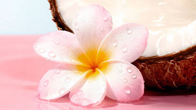 [Ingrediente visual - recorte en coco]