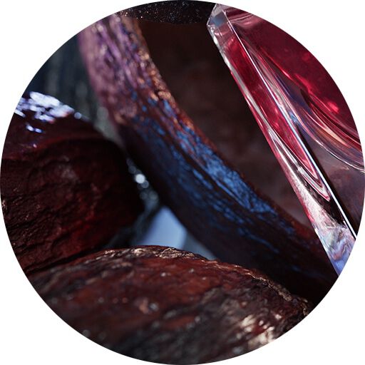 ABSOLUTO DE MANTECA DE CACAO