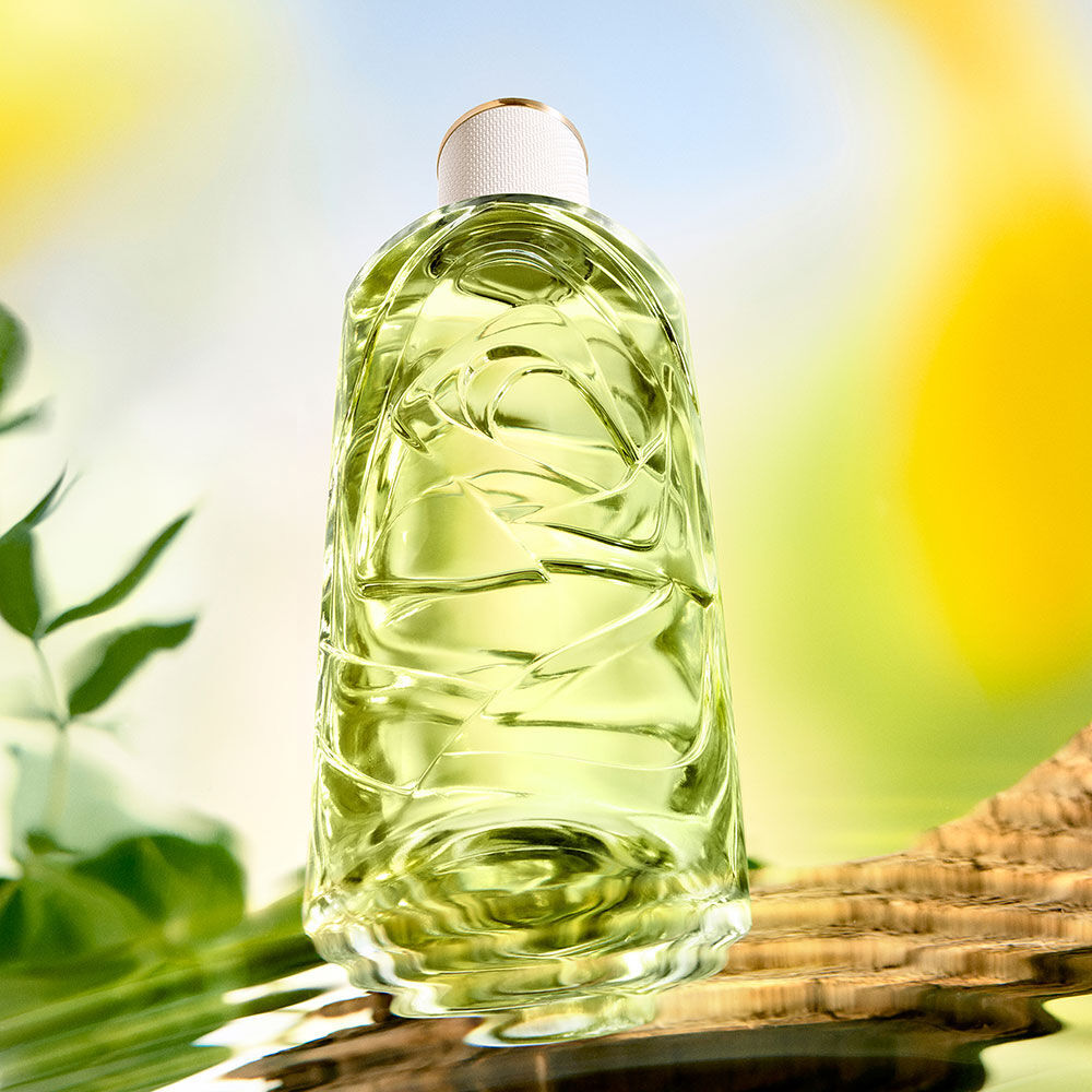 Off Now Eau de Toilette: Perfume citrico y amaderado