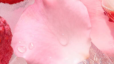 Ingrediente visual - recorte en petalos de rosa