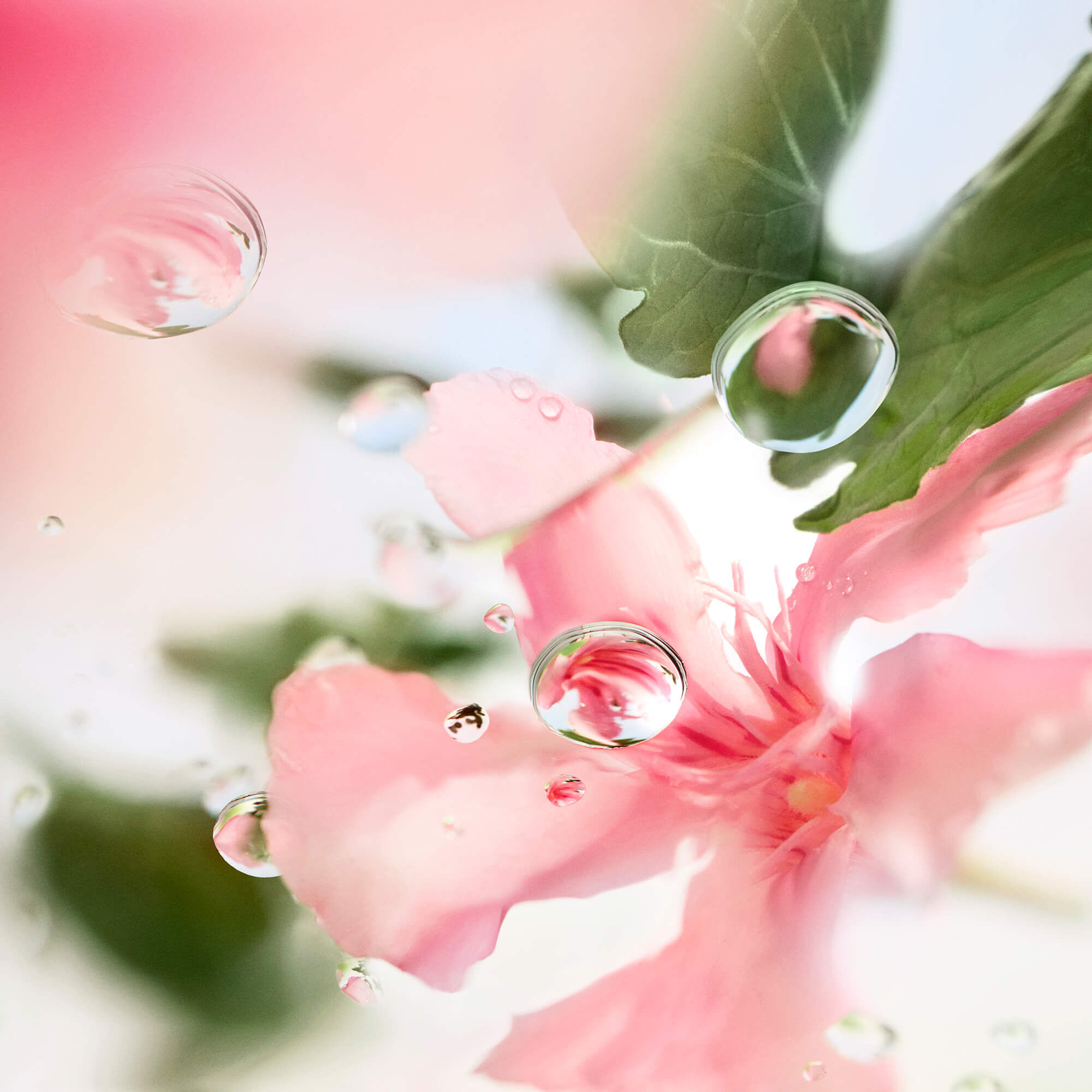 Over The Top Eau de Toilette: Perfume Floral con Jazmin