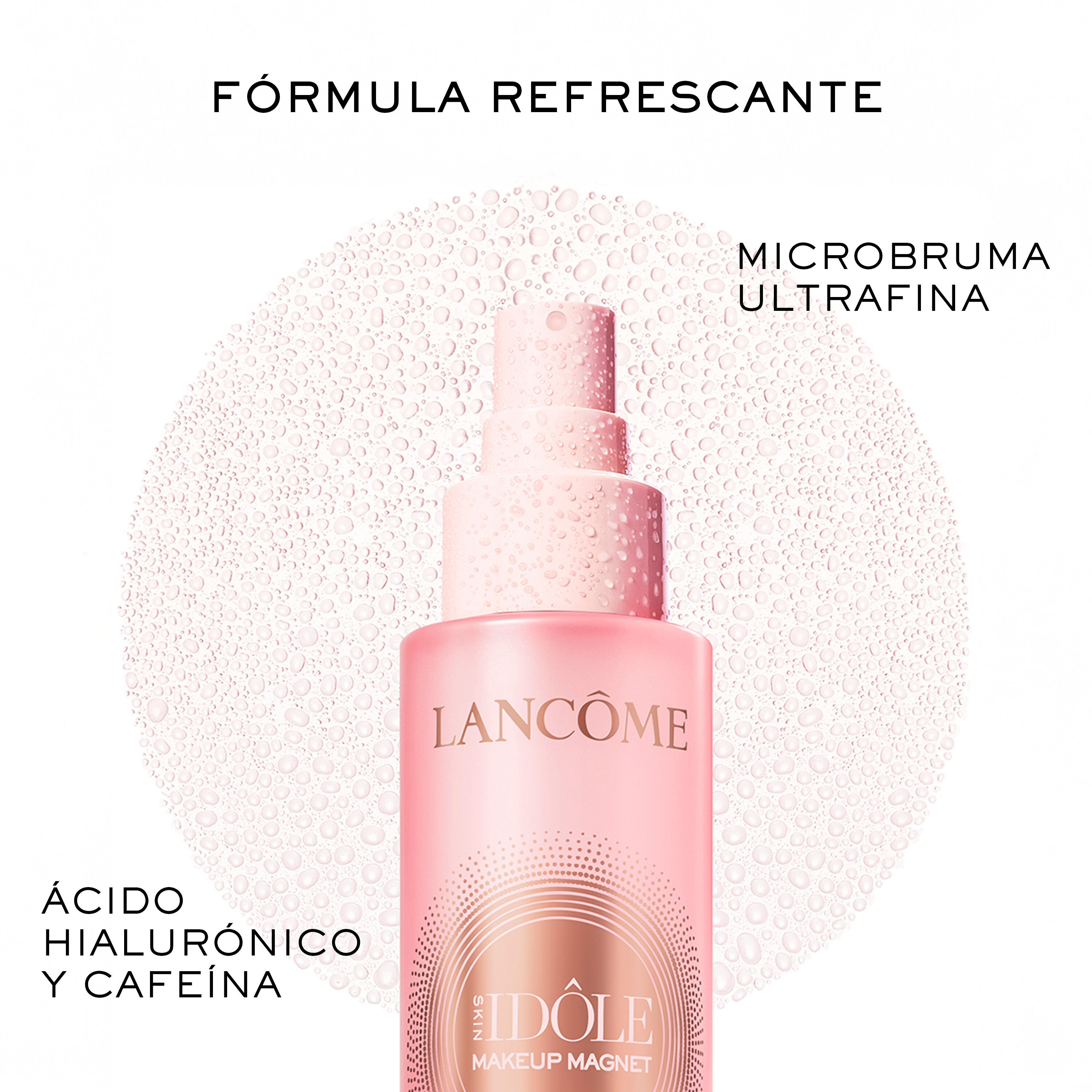 Skin Idole Makeup Magnet Skin-Loving Micro Setting Mist