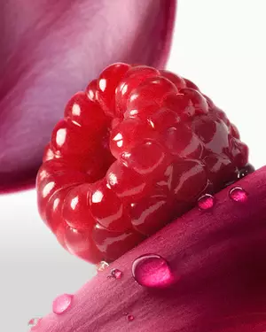 Ilustracion de fragancia afrutada Lancome