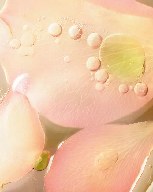 Biotecnologia Lancome