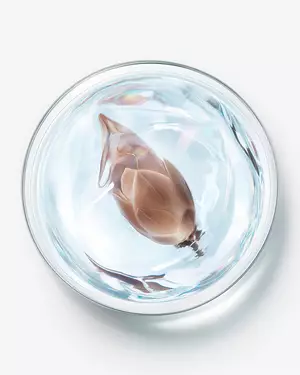 ilustracion de la ciencia avanzada del cuidado de la piel