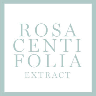 Extracto de Rosa Centifolia