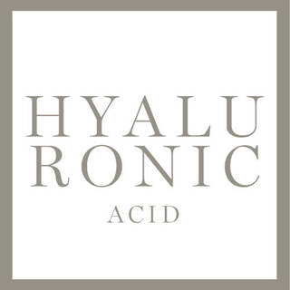 Texto alternativo: Logotipo que dice "Acido Hialuronico" en letras grandes y elegantes sobre fondo blanco.