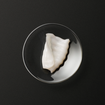 Plato con una concha blanca sobre un fondo negro, evocando una presentacion minimalista y elegante.