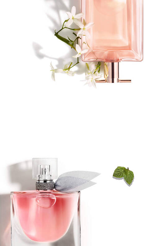 fondo rosa