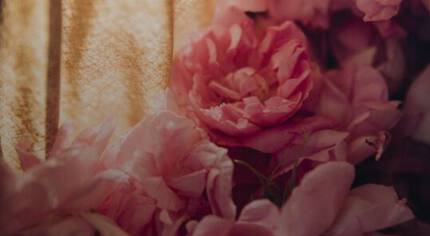 Lancome Espana