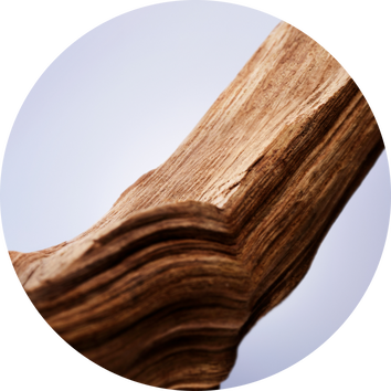 Primer plano de una rama de madera con textura natural en un fondo suave y desenfocado.