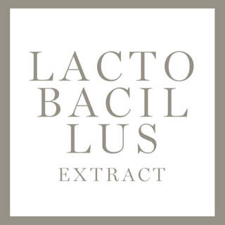 Texto en un fondo blanco que dice "LACTOBACILLUS EXTRACT" en letras grandes y de color gris.
