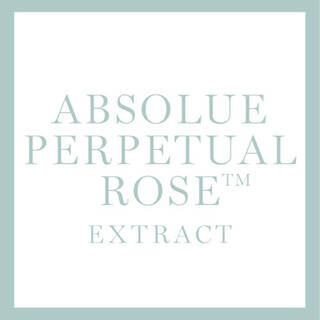 Texto alternativo en espanol: "Texto en un fondo claro que dice 'ABSOLUTE PERPETUAL ROSE™ EXTRACT'."
