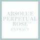 Rosa Perpetua Absolue™