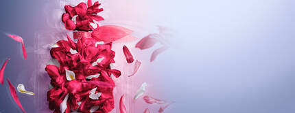 Frasco de perfume decorado con petalos de flores rojas y blancas, rodeado de mas petalos flotantes en un fondo suave.