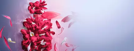 Frasco de perfume decorado con petalos de flores rojas y blancas, rodeado de mas petalos flotantes en un fondo suave.
