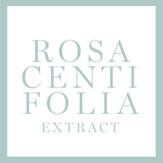 Texto en color mint con las palabras "ROSA CENTIFOLIA EXTRACT" sobre un fondo blanco.
