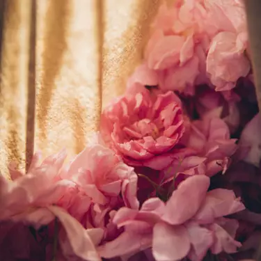 Lancome Espana