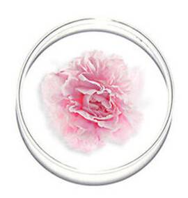 hp banner hydra zen peony extract